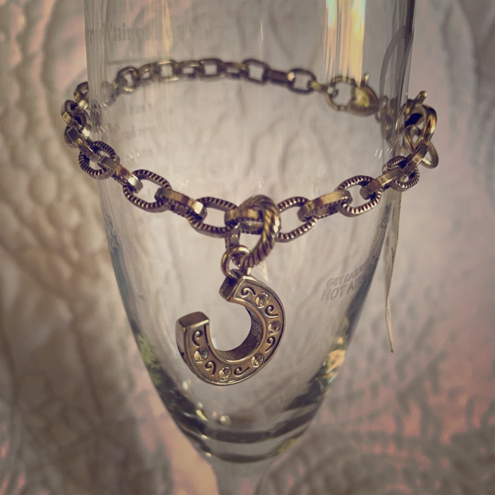 Horseshoe charm bracelet